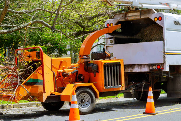 Combes, TX Tree Removal and Landscaping Services Company